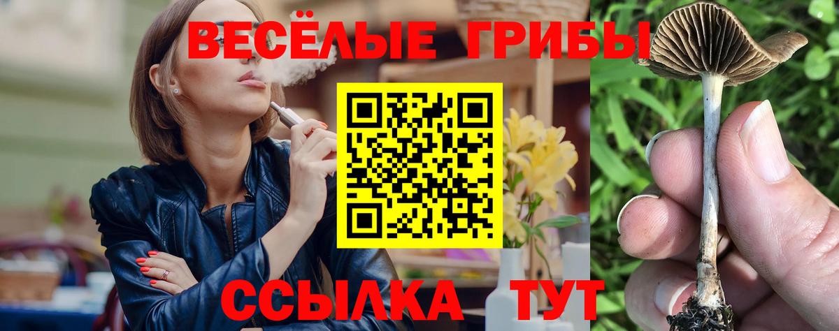 Альметьевск  Галлюциногенные грибы Psilocybe  Вход с VPN  Галлюциногенные грибы GOLDEN TEACHER 